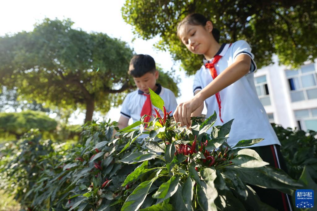 实亿国际安全吗